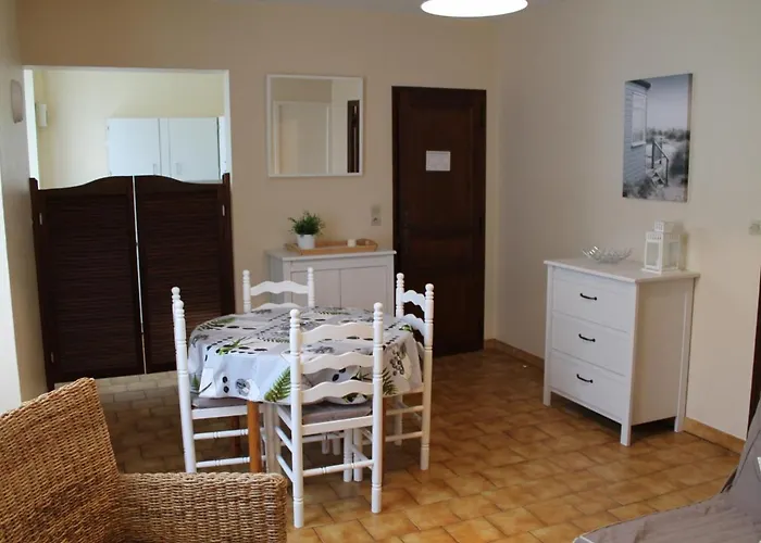 T2 Lumineux Au Centre-ville De La Roche-posay, Proche Thermes, Avec Wi-fi Et Lave-linge - Fr-1-541-1 La Roche-Posay