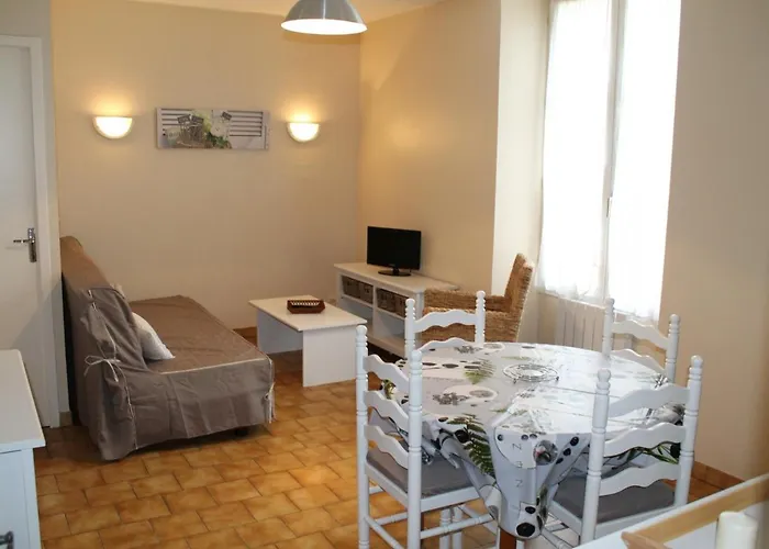 T2 Lumineux Au Centre-ville De La Roche-posay, Proche Thermes, Avec Wi-fi Et Lave-linge - Fr-1-541-1