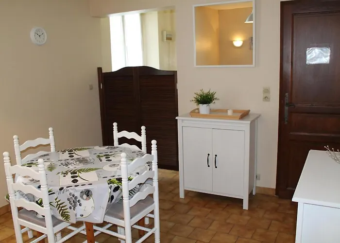 T2 Lumineux Au Centre-ville De La Roche-posay, Proche Thermes, Avec Wi-fi Et Lave-linge - Fr-1-541-1 公寓 拉罗什波赛