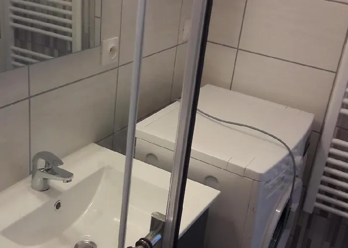 T2 Lumineux Au Centre-ville De La Roche-posay, Proche Thermes, Avec Wi-fi Et Lave-linge - Fr-1-541-1 La Roche-Posay